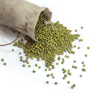 Premium Green Mung Beans 99% Purity Machine Cleaned 2025 Crop USA Export Grade 25kg PP Bags High Protein Vegan Superfood