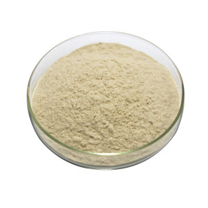Fava Bean Protein Processing Quality