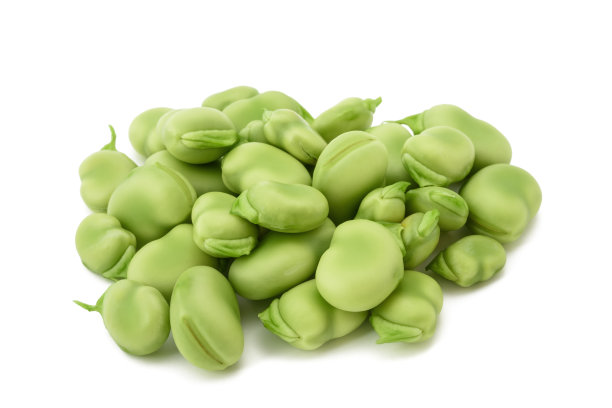 Fava Bean Protein Powder Extract