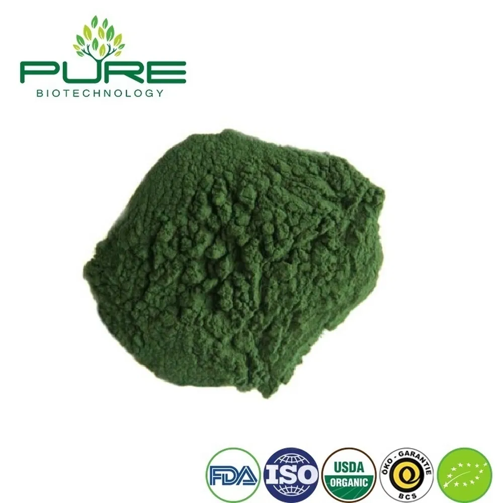 Premium Organic Spirulina Protein Powder for Green Smoothies