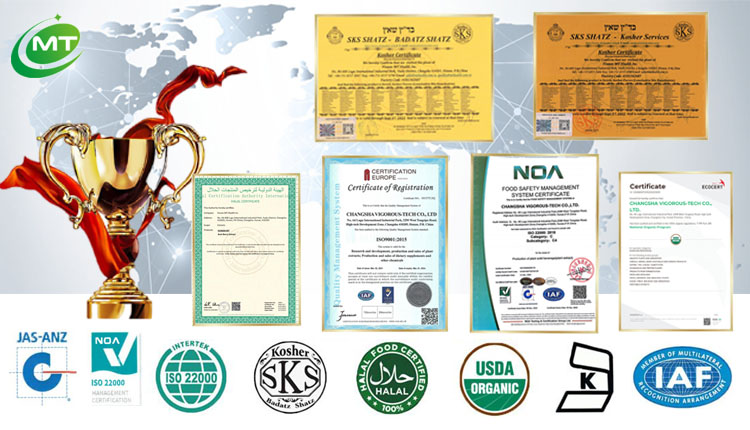 ISO Factory Supply Natrual Faba Bean Protein Isolate Powder 90%protein Natrual Vicia Faba Extract Vicia Faba Powder
