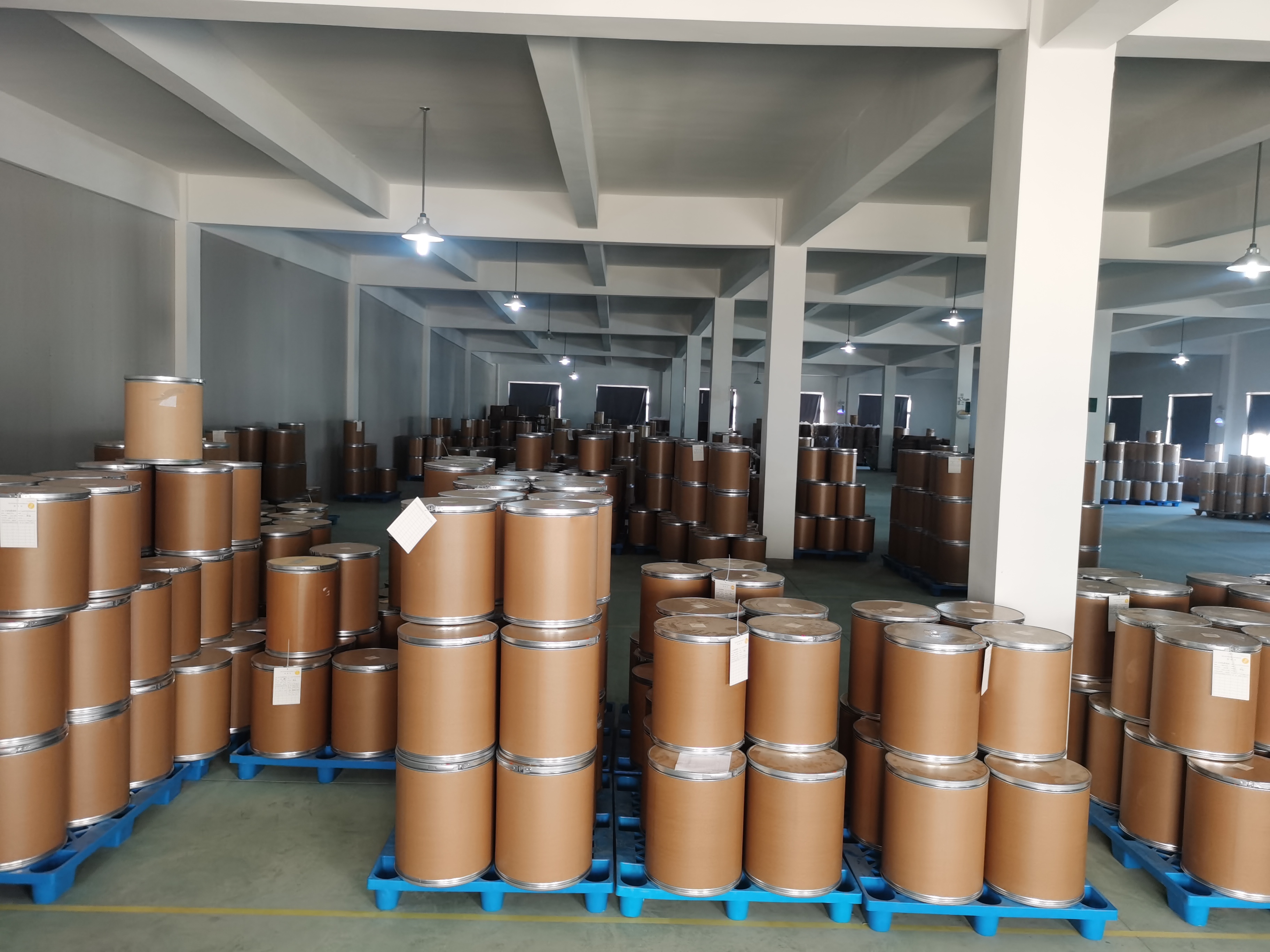 Mung Bean Powder Feature 2