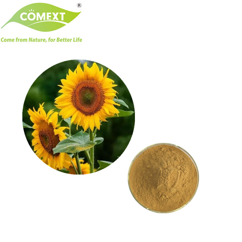 Comext 100% Natural Factory USA Warehouse 10%~30% Sunflower Disk Alkaloid 10: 1 Sunflower Disk Extract/Sunflower Protein Powder