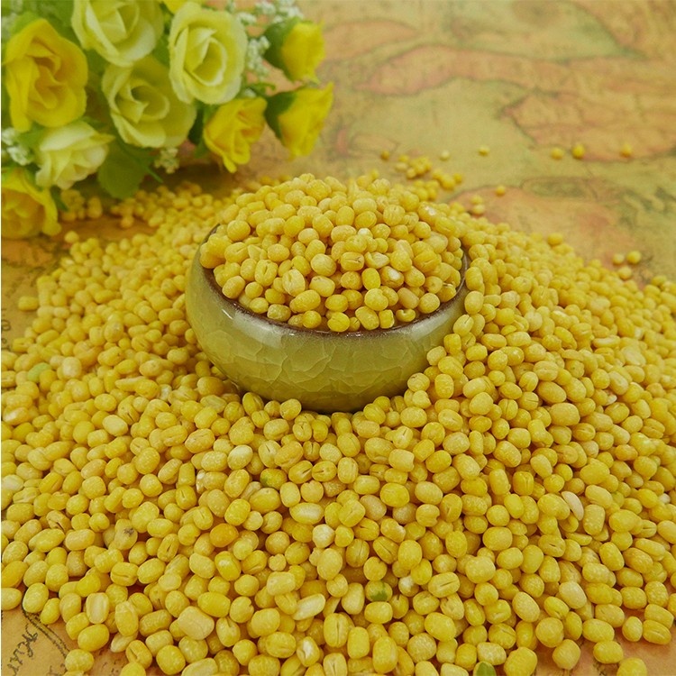 Mung Beans Display