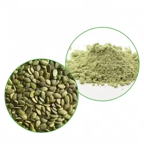 High Quality100% Natural Pumpkin Seed Extract Organic Pumpkin Seed Protein