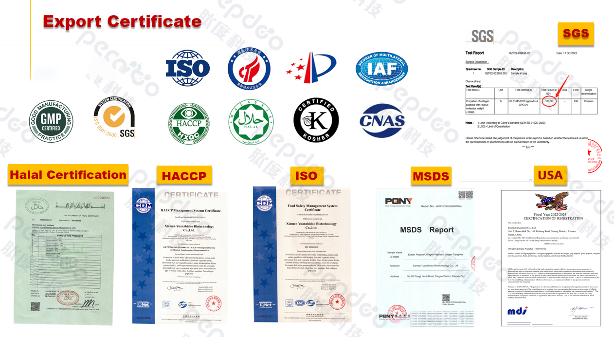 Patent Certification Flow