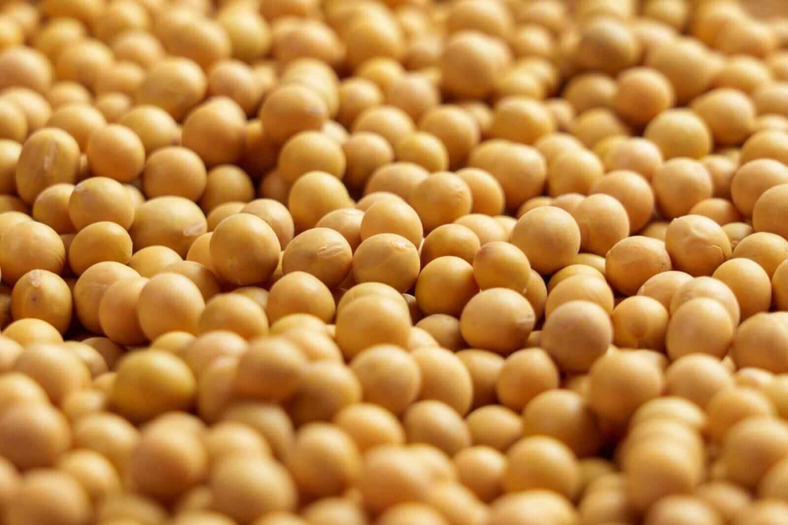 Hot Sale Food Grade Natural Soybean Extract Soybean Peptide Powder