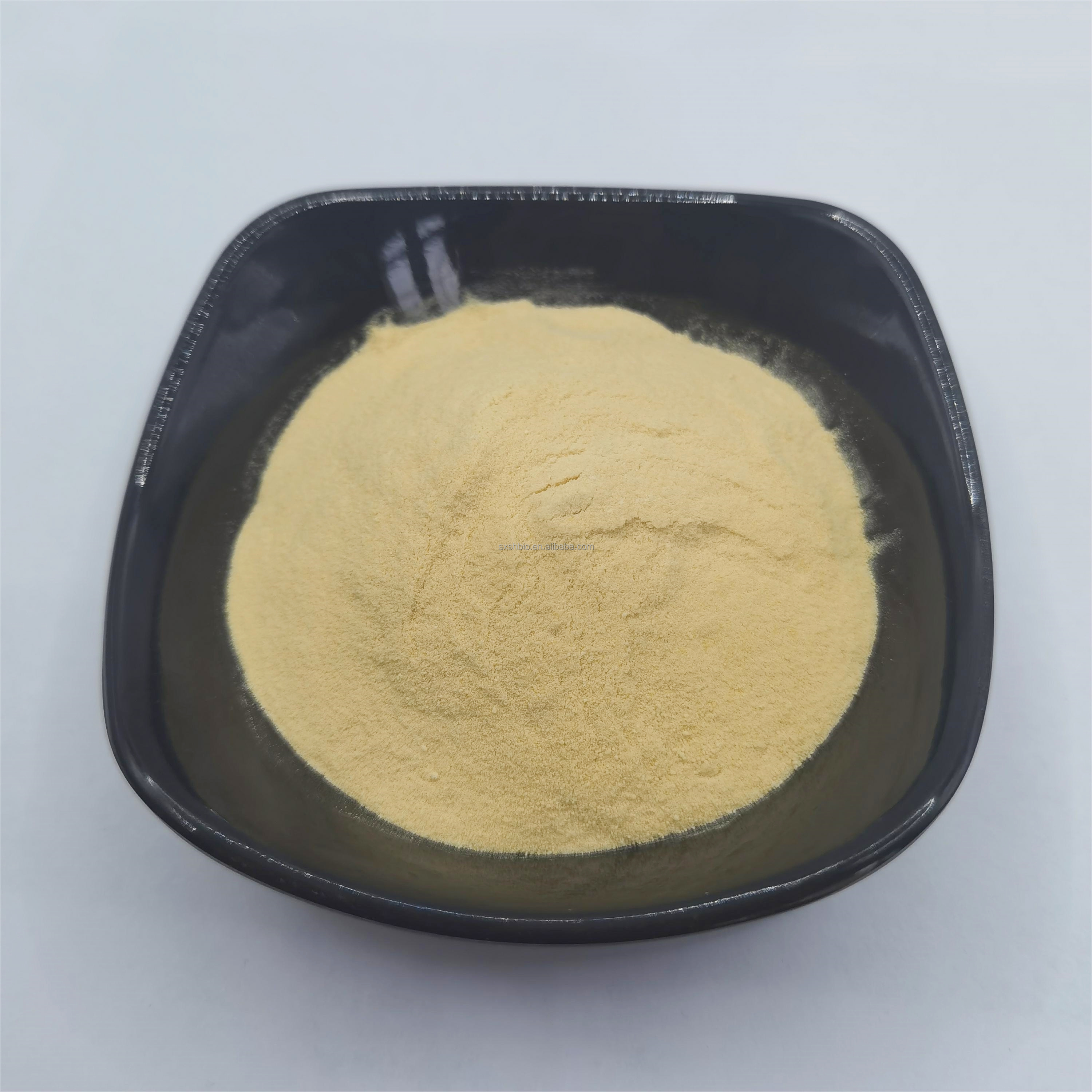 Food Grade Wheat Protein Peptide Powder 98% Protein Light Yellow Water Extracted Drum and Vacuum Packed Manufactured for Sale