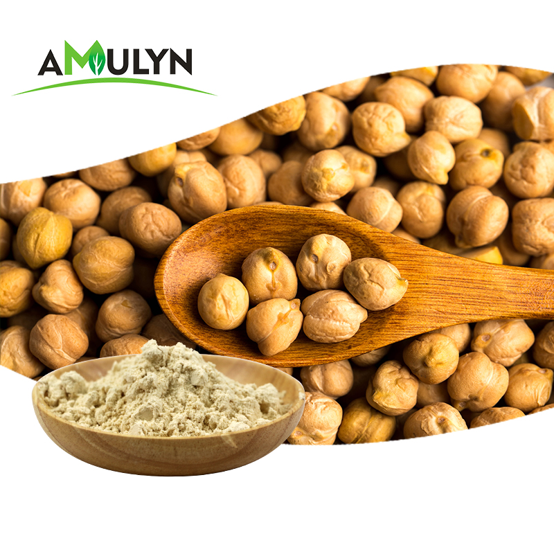 AMULYN Best Quality Chickpea Protein Powder Fitness Extract ISO Certified 2 Year Shelf Life