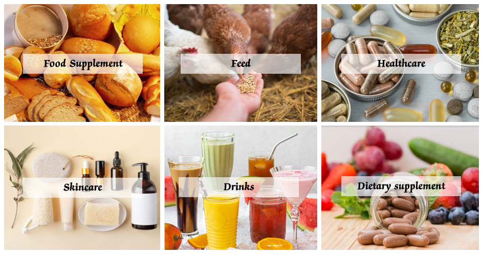 Most Nutritious Plant-based Protein Sources Pure Almond Protein Powder