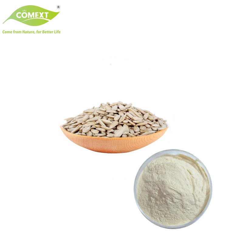 Comext Sunflower Seed Powder Food Ingredients Vegan Sunflower Seed Extract Sunflower Protein Powder