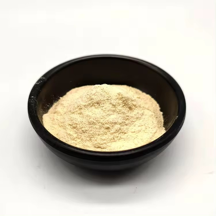 Supply Hydrolyzed Plant Extract 90% Isolate Soybean Soya Soy Protein Powder for Food Additive, Nutrition Product