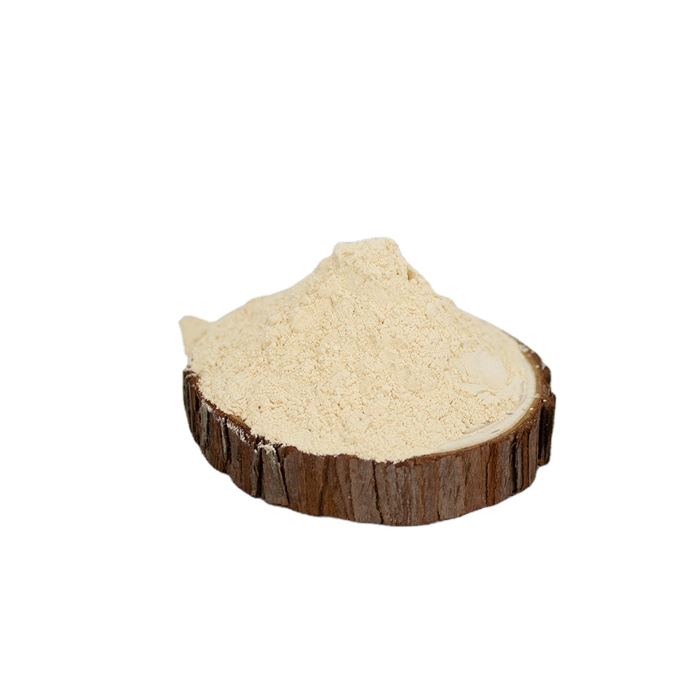 Rice Protein Powder Packaging Detail