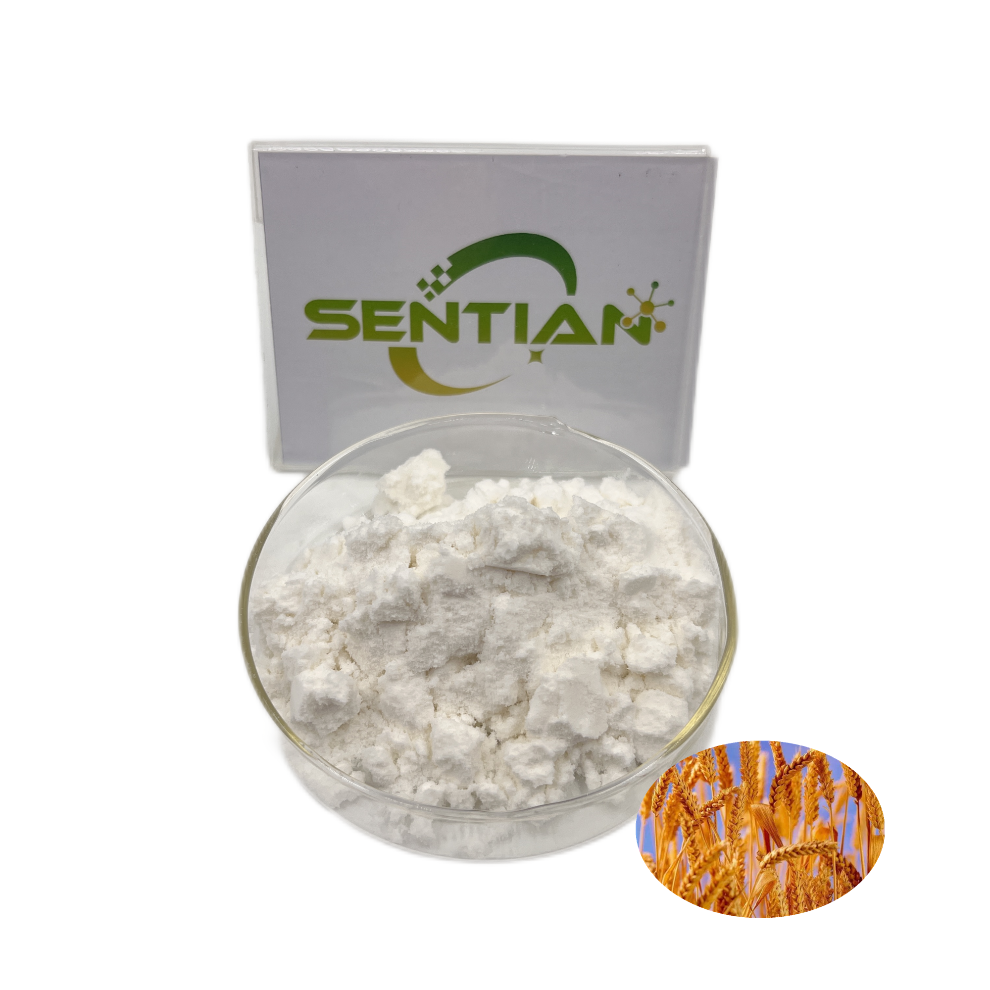 Vegetable Hydrolyzed Wheat Protein Wheat Protein Isolate Wheat Protein