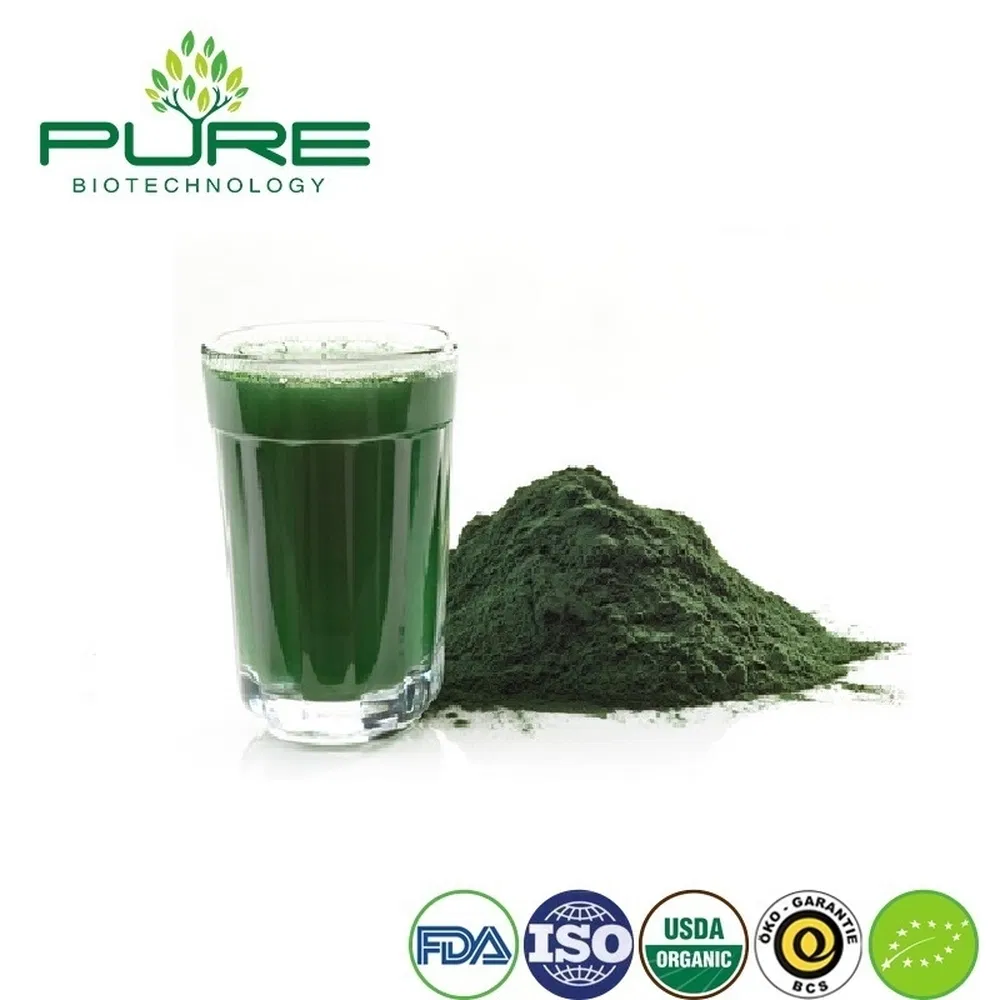 Organic Spirulina Protein Powder for Boosting Stamina and Energy