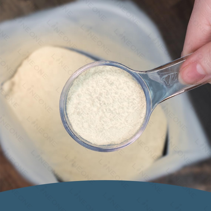 Wholesale Supply 100% Plant Based Health Beneficial Pea Protein Isolate Powder 250 gm 500g 1000g