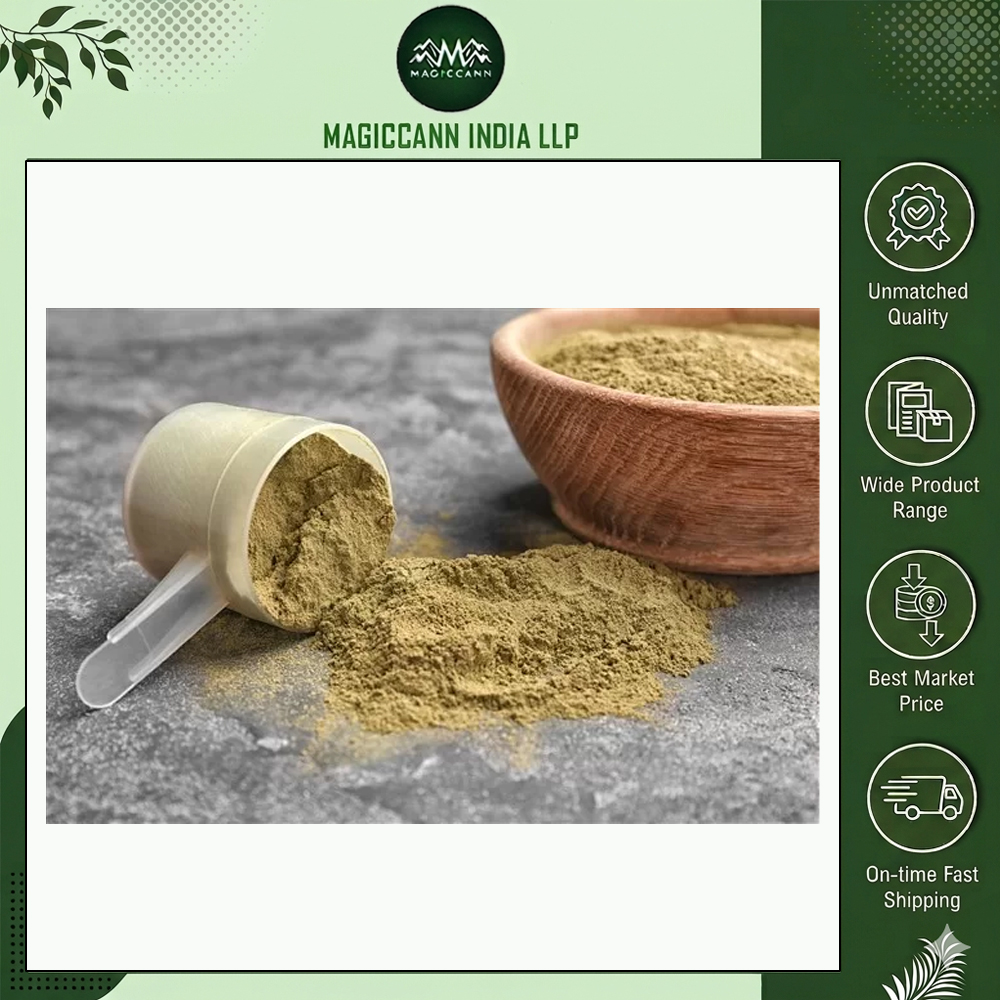 High Quality Cold Pressed Herbal Extract Hemp Protein Powder Plant-Based Fine Texture Muscle Support Fitness Wellness Food Grade