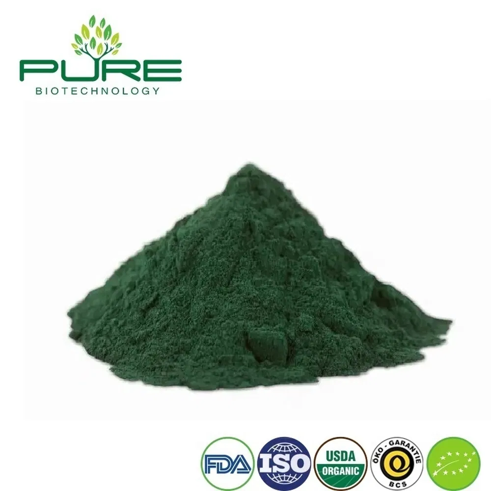 Premium Organic Spirulina Protein Powder for Vegan Health
