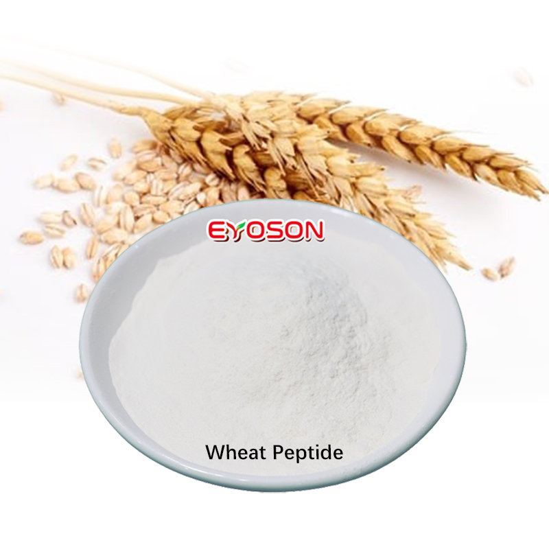 Wholesale Supply Hydrolyzed Wheat Protein Peptide Powder Plant Supplement Halal Certified Health Food Grade Vacuum Packed