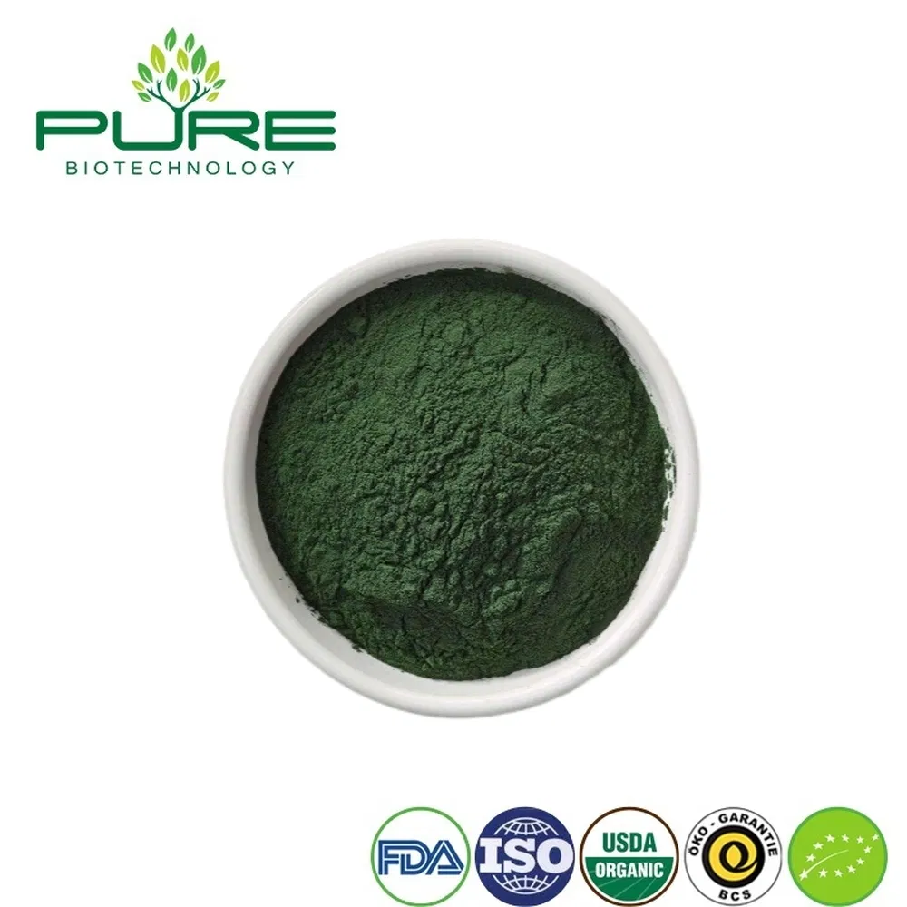 Organic Vegan Protein Powder with Spirulina for Enhanced Recovery