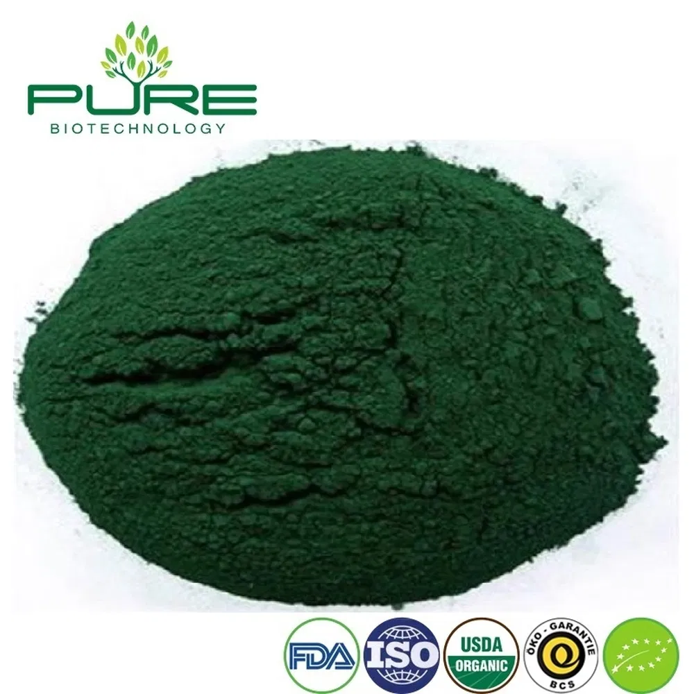 Organic Spirulina Protein Powder for Natural Energy Boost