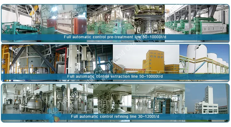 Sunflower Cottonseed Canola Oil Refinery Equipment