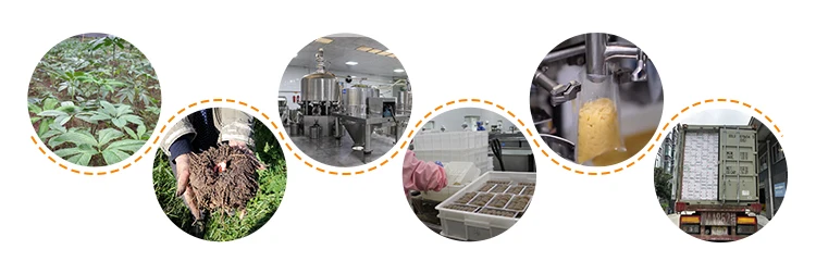 Detailed Production Process Flow