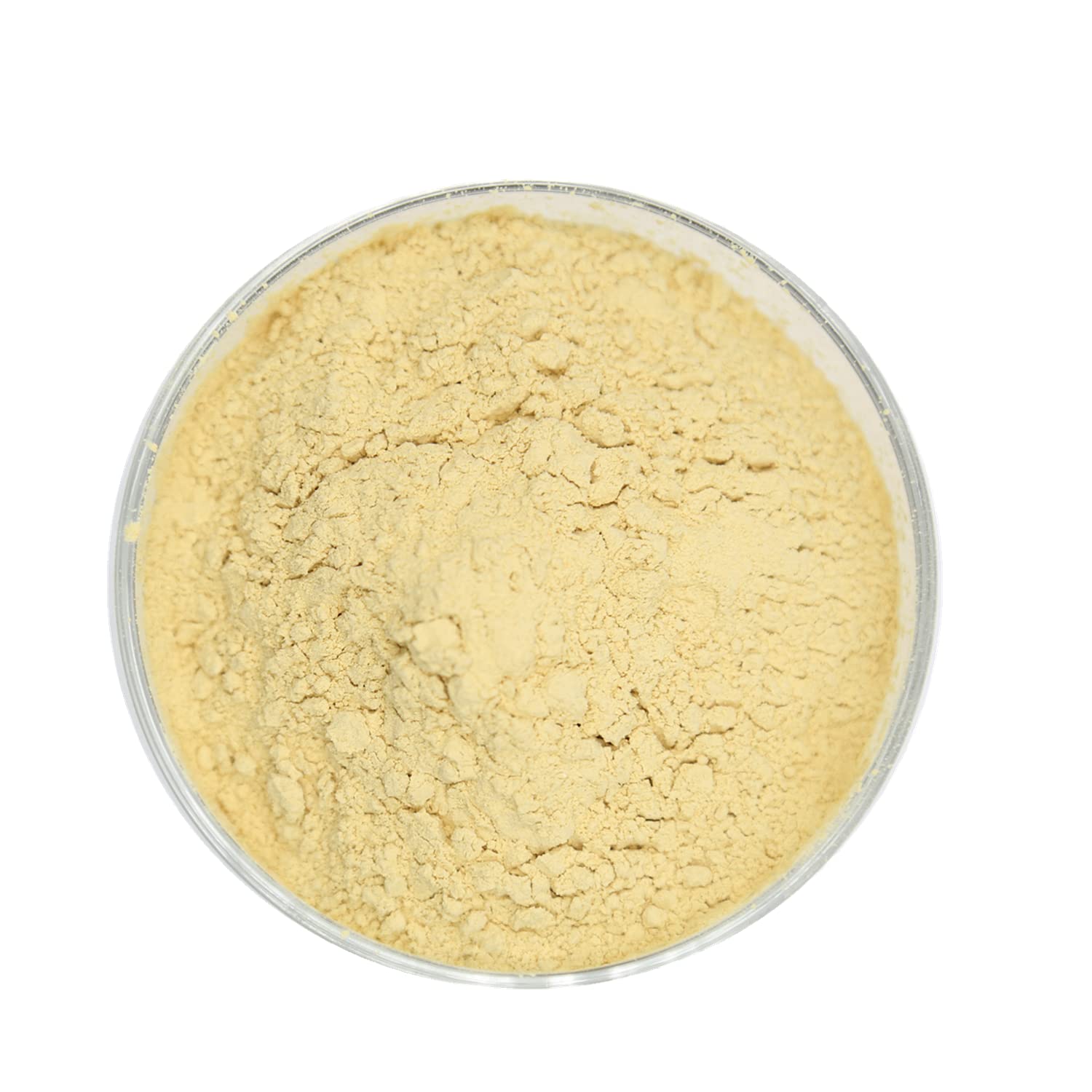 Zein Protein Powder