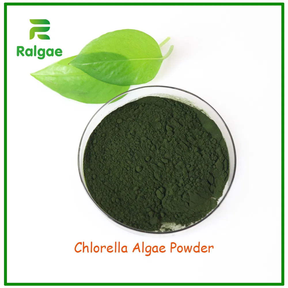 Foods Grade Chlorella Algae Powder High Protein for Nutrition Supplement