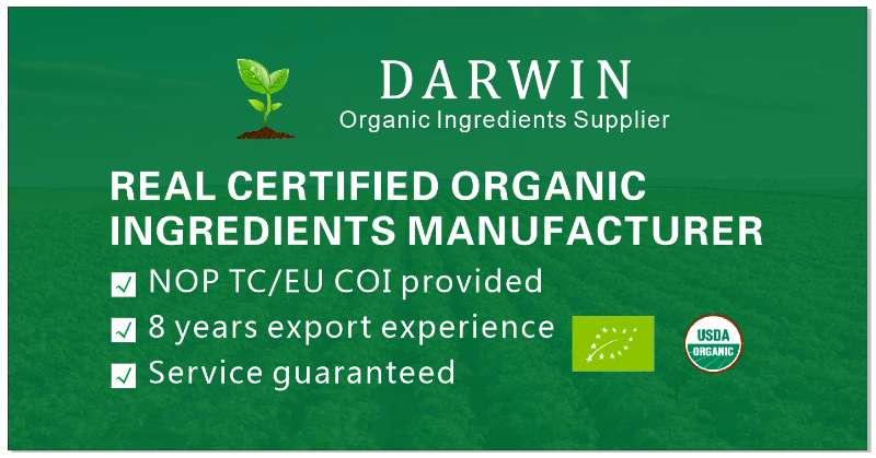 Organic Solutions Banner