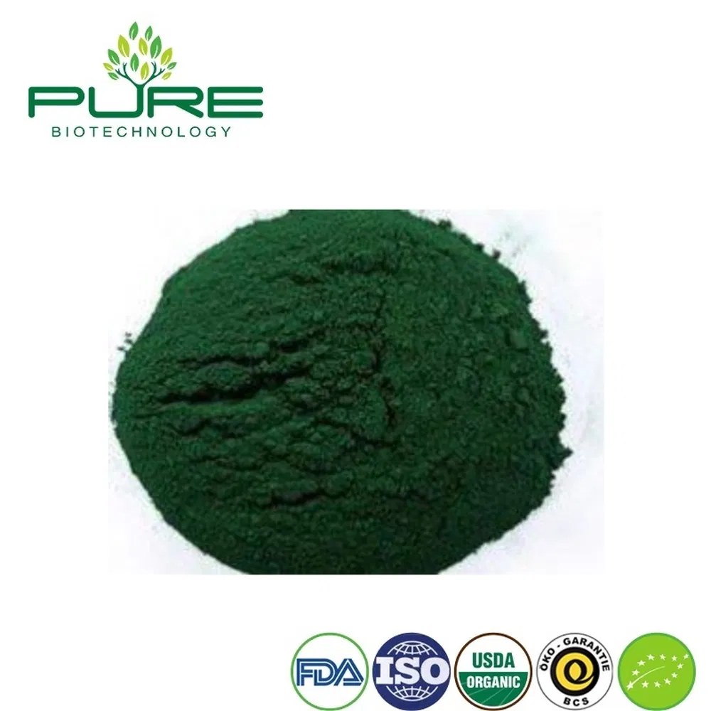 Pure Non-GMO Organic Spirulina Protein Alga Powder for Cardiovascular Support
