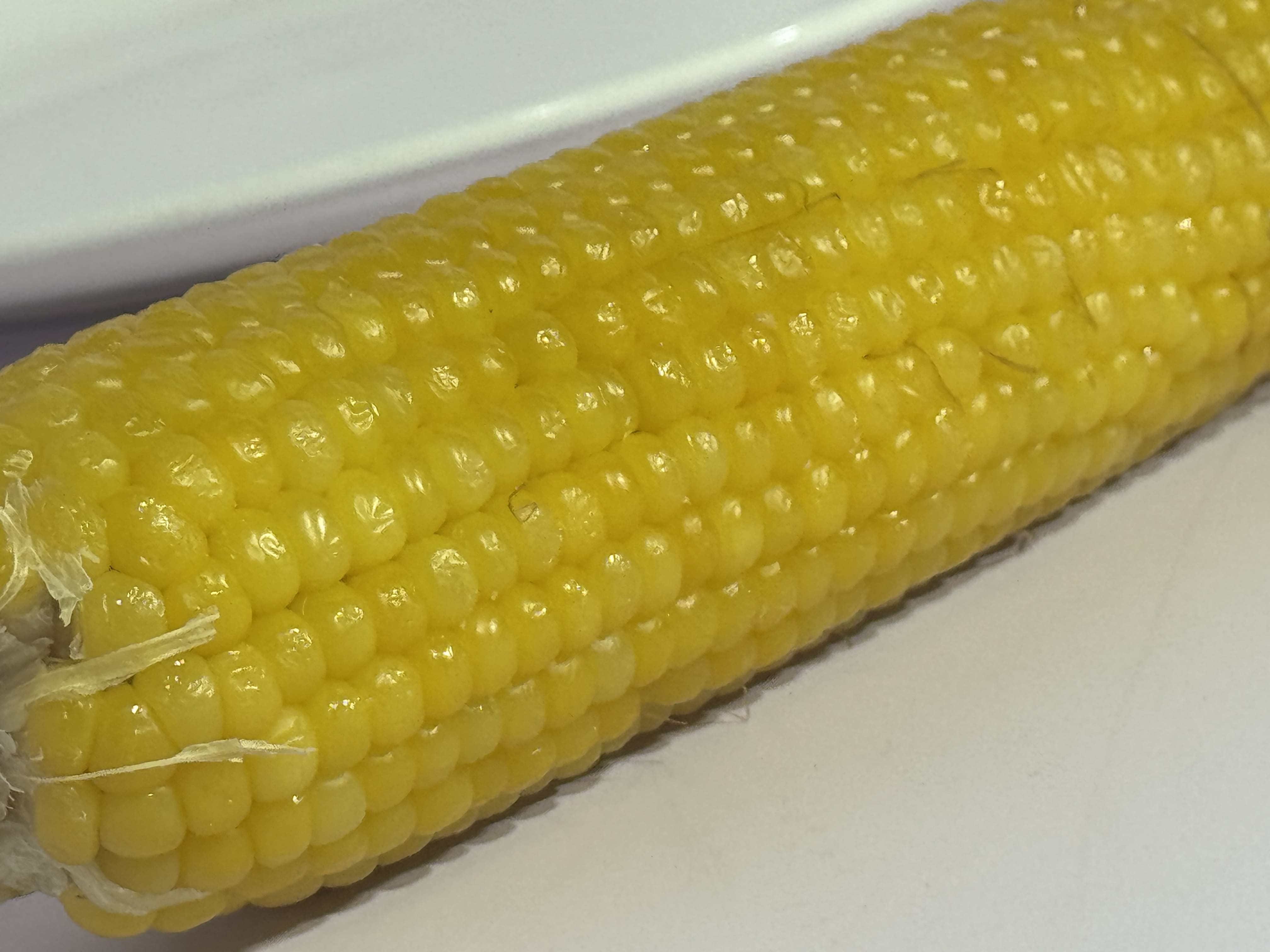 Top Selling Best Quality Frozen High Protein Yellow Corn Maize 28 Tons MOQ 12 Months Shelf Life Available in Bulk Special Offer