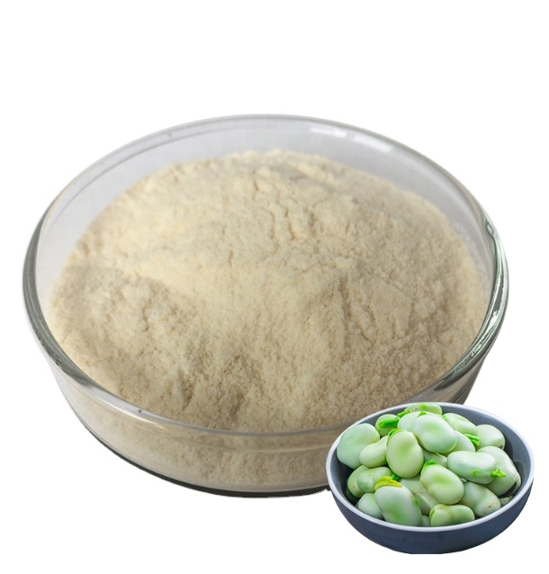 Fava Bean Raw Materials