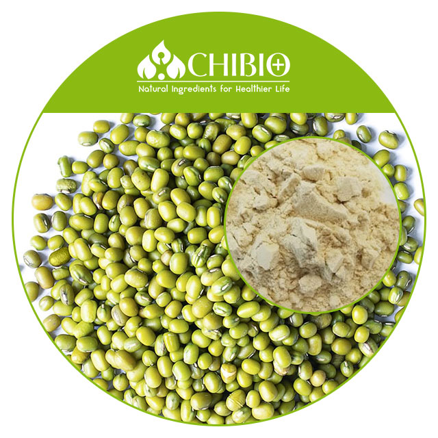 Mung Bean Protein Powder Vegan Protein Supplier's Organic Mung Bean Protein High Nutritional Value Bulk Powder Nutrition