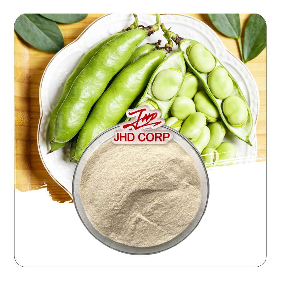 Fava Bean Protein Powder 65% Food Grade Bulk For Plant Based Protein Supplement