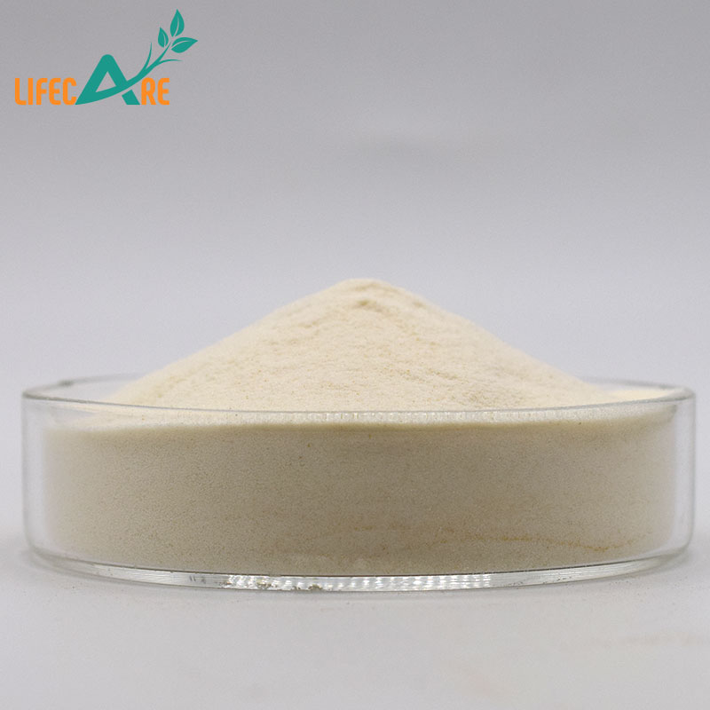 Potato Protein Application 1