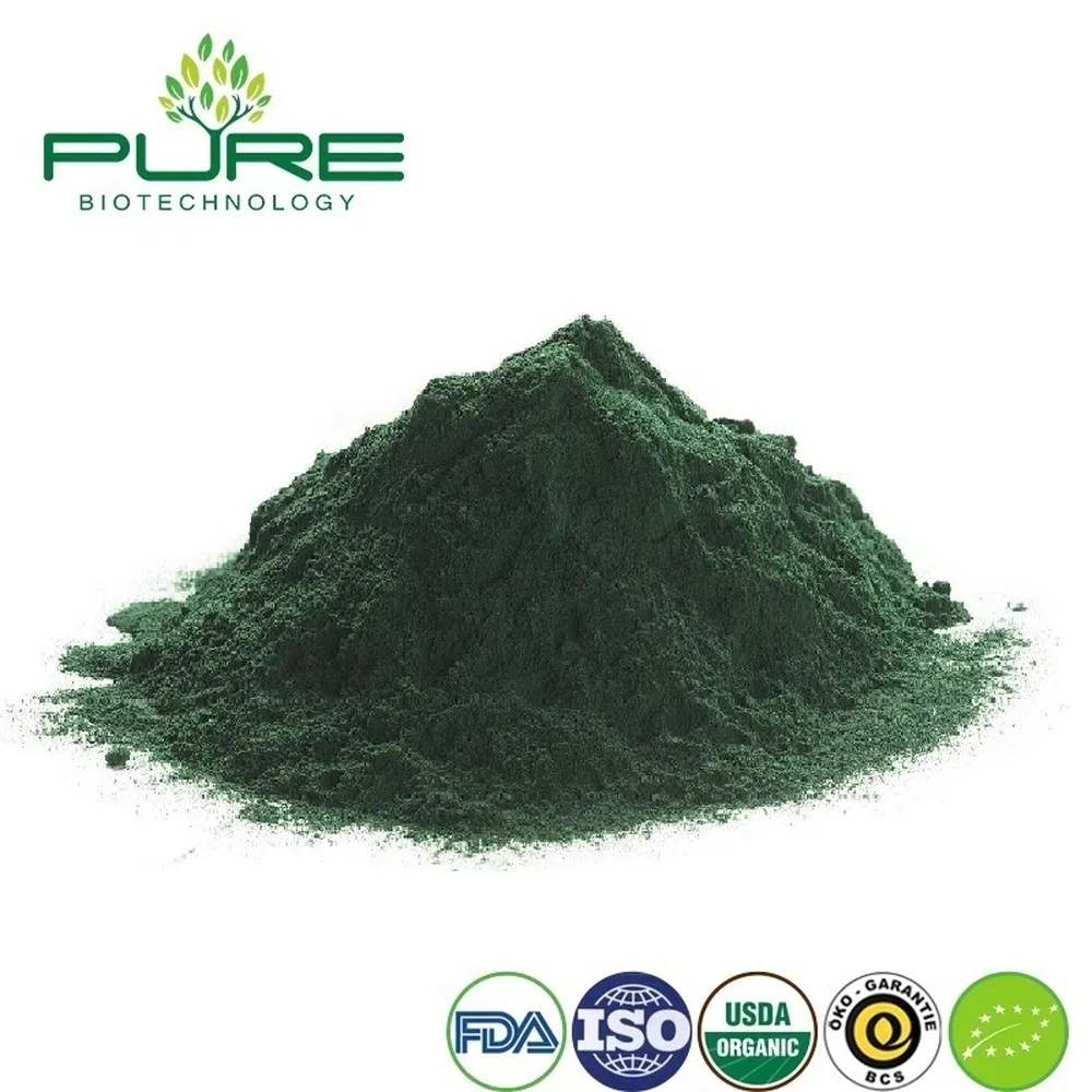 Organic Vegan Protein Powder with Spirulina for Enhanced Recovery