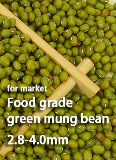 Mung Bean D