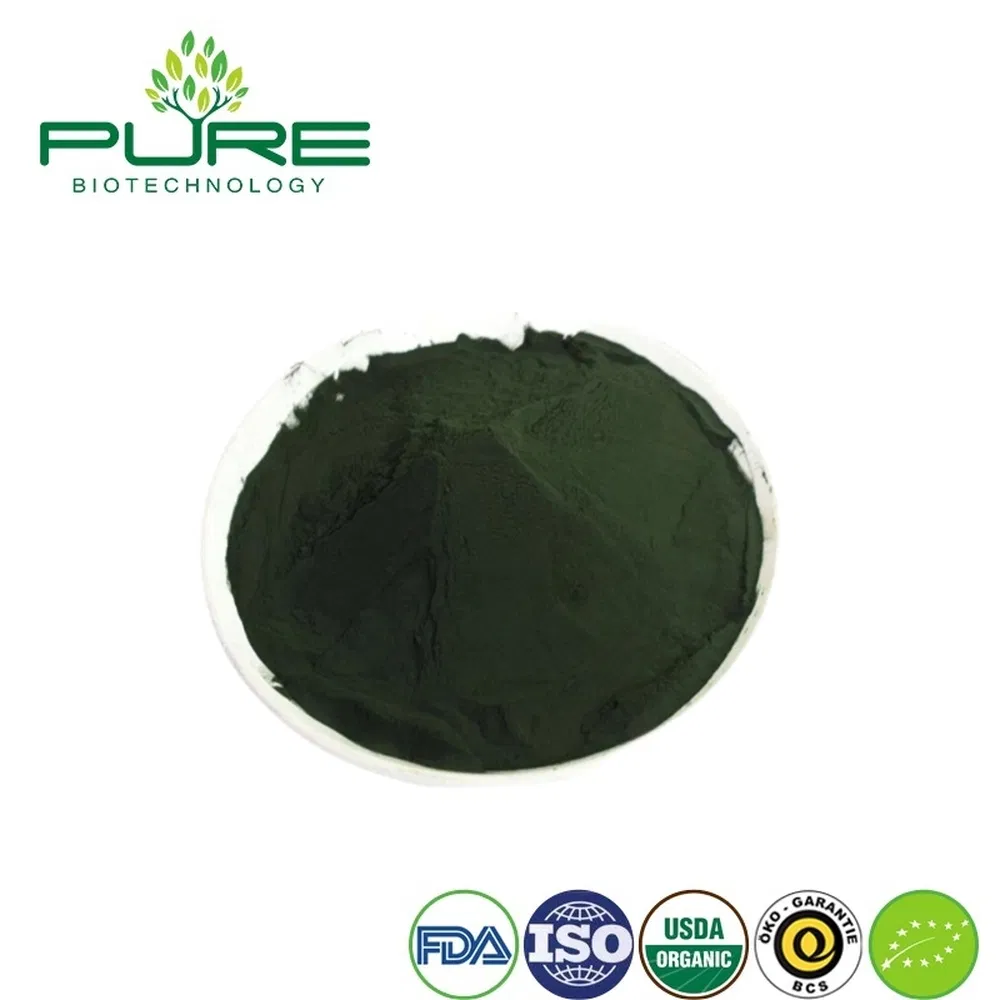 Sustainable Blue Green Algae Protein for Healthy Energy Bars