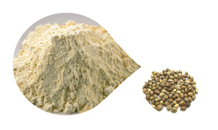 Organic Plant-Based Vegan Protein