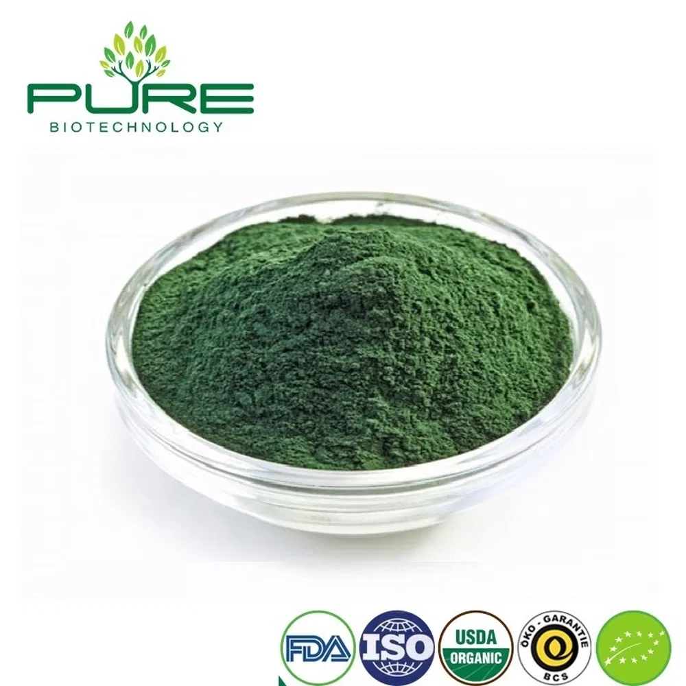 Premium Organic Spirulina Protein Powder for Smoothie Boost