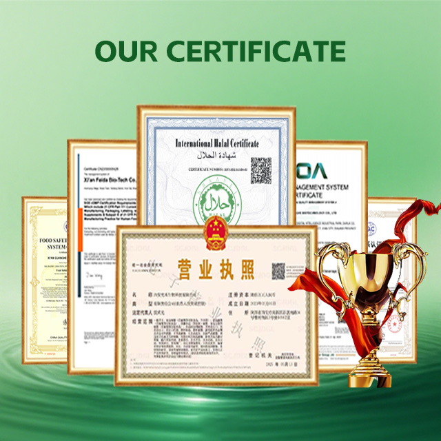 Corn Peptide 75% Hydrolyzed Corn Protein Powder