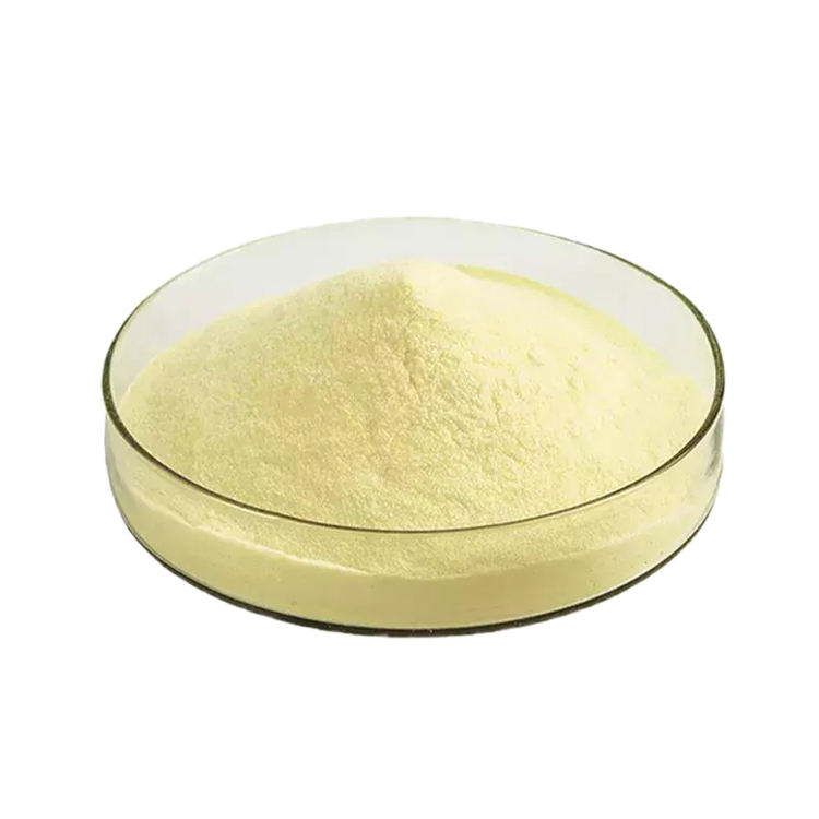 Wholesale 99% Protein Zein Corn Protein Powder Food Grade