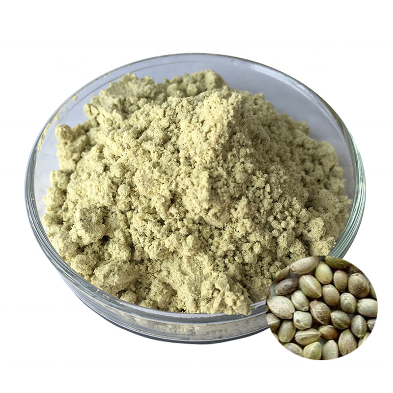 Organic Hemp Seed Protein Powder Banner