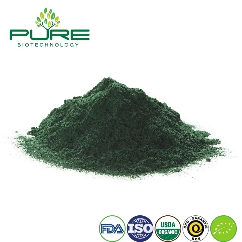 Organic Vegan Protein Powder with Spirulina for Enhanced Recovery