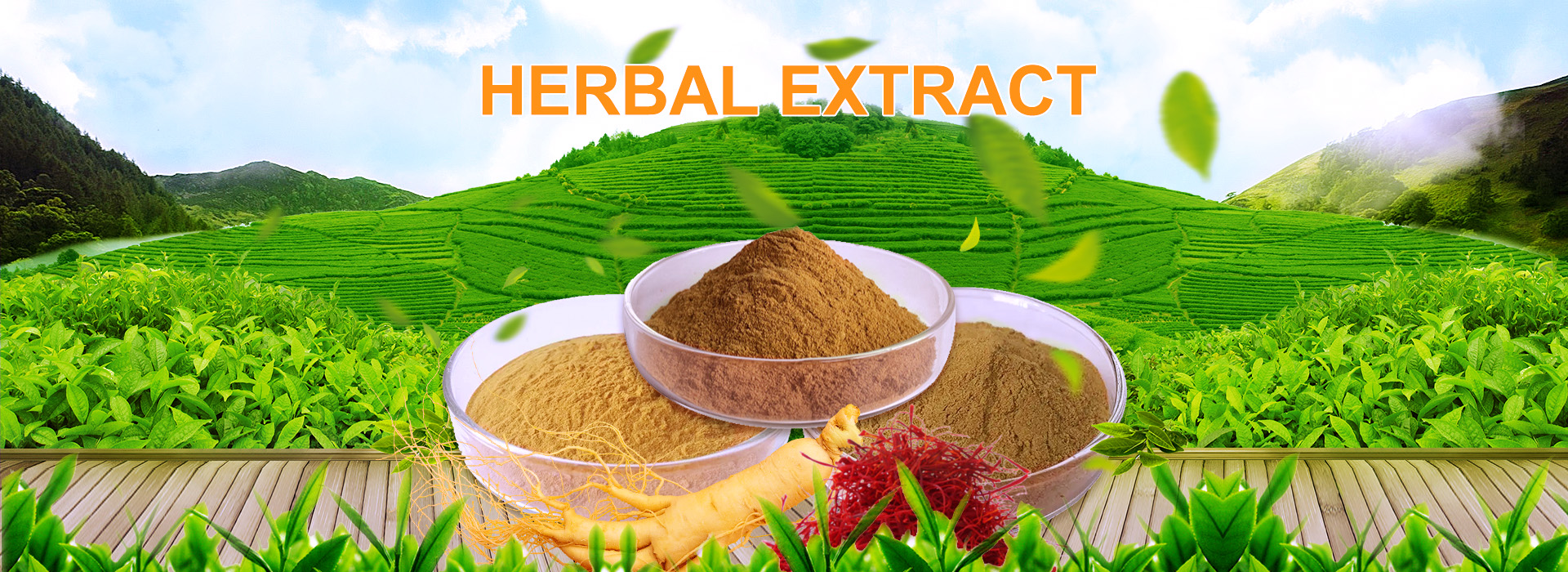 Related Product 3