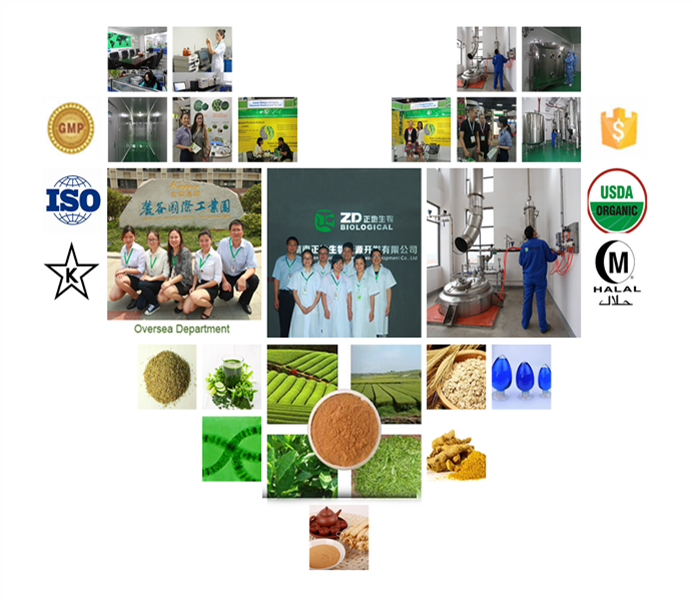 100% High Quality Natural Organic Raw Hemp Seed Protein Powder Vacuum Packed in Drum &amp; Plastic Container Health Food Grade