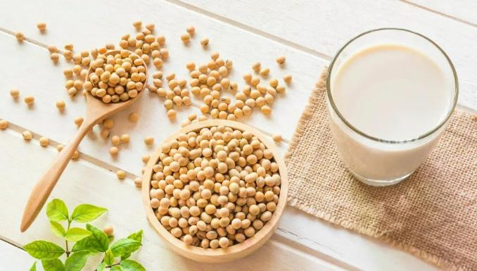 Tianjia Non-GMO Food Grade Isolated Soya Protein Soy Protein Isolate 90%