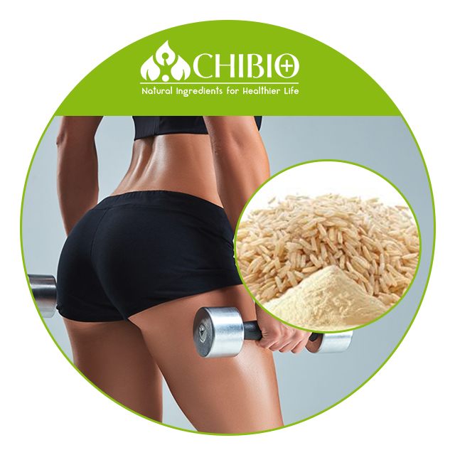 Best Selling Organic Brown Rice Protein 80% for Health Care Body Protecting