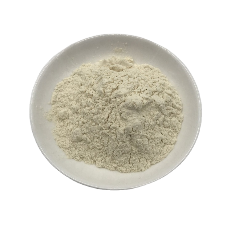 Natural Food-Grade Chickpea Protein Isolate Powder Herbal Extract in Drum Packaging